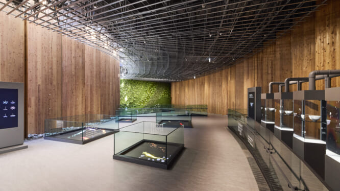 EXPO 2025 大阪・関西万博 日本館  様