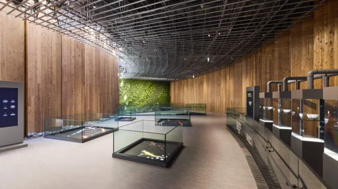 EXPO 2025 大阪・関西万博 日本館  様