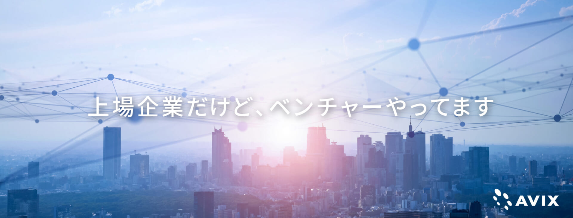 アビックス 新卒採用